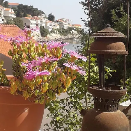 Cannela Oasis Apartman *