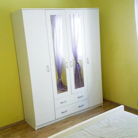 Cannela Oasis Zavalatica