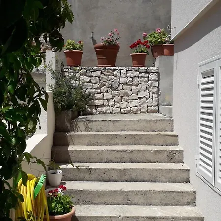 Cannela Oasis * Zavalatica