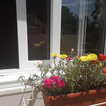 Cannela Oasis Apartman *