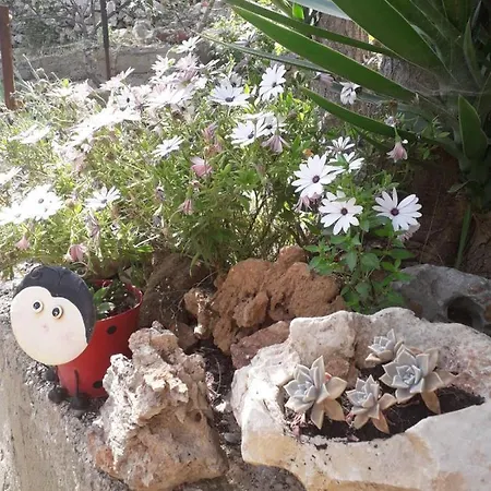Apartman Cannela Oasis Zavalatica